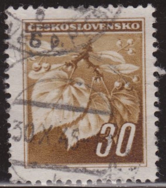 Bohemia y Moravia 1939 Scott 24A Sello º Flora Hojas de Tilo Linden Leaves & Closed Buds 30h Bohmen und Mahren Cechy a Moravia Ceskolovensko Czechoslovakia Tchecoslovaquie